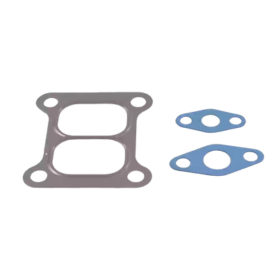 Gasket/ Mounting Kit 2090-010-161